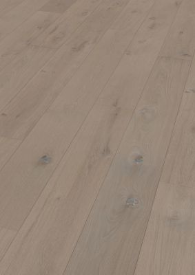 Eiche Sherwood Forest