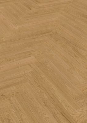 Eiche Capitol Reef ribja kost