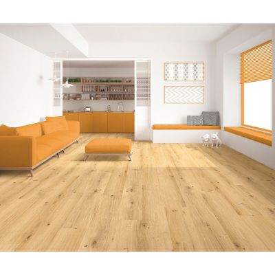 Vinil Hydro Fix Economy 0.3 Roheiche Synchro